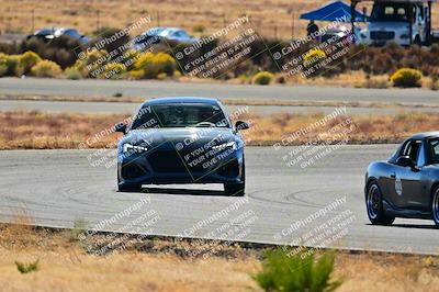 media/Nov-16-2024-Extreme Speed (Sat) [[6587d07cc4]]/Gold Group/Session 2 (Turns 3 and 5)/